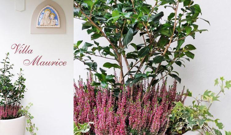 Residence Villa Maurice Stresa Exterior foto